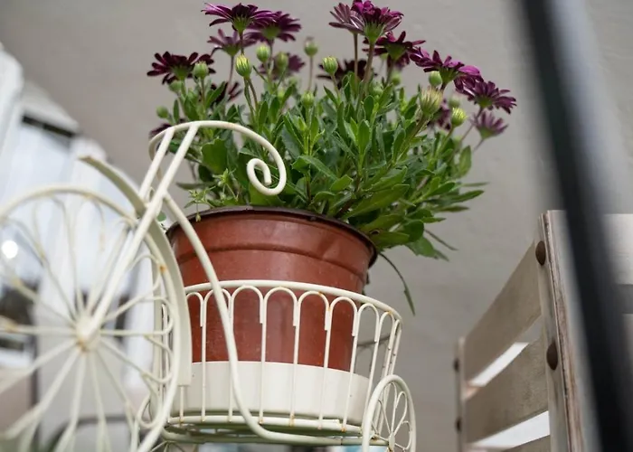 Grandma's House * Σπαρτοχώρι